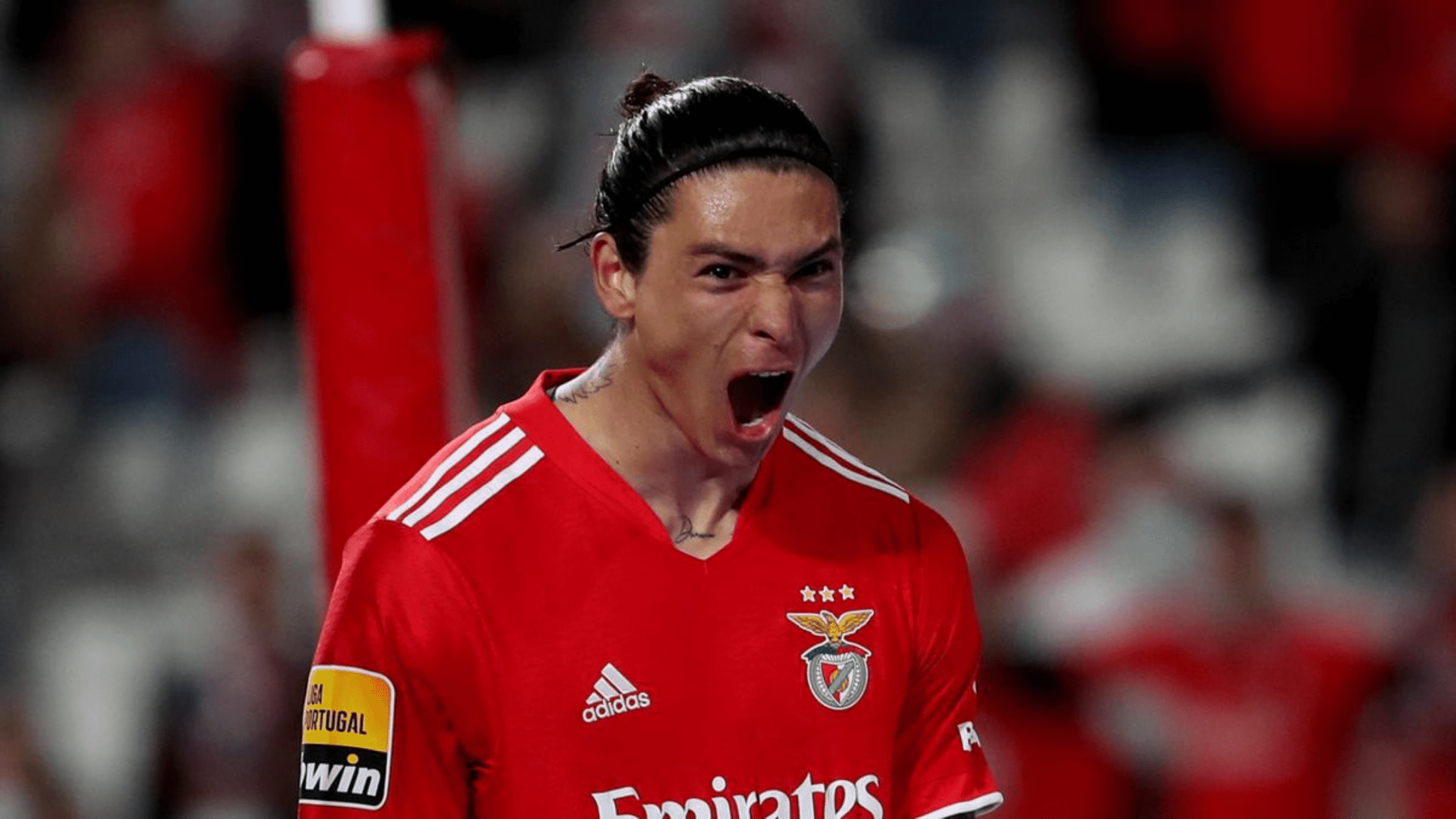 Manchester United end Harry Kane interest, focus now on Darwin Nunez