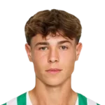 Ermin Mahmic